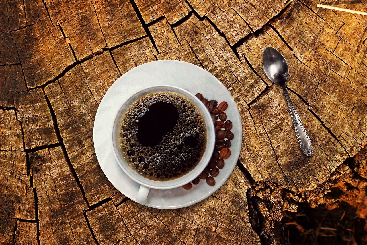 Kaffee-Seminar